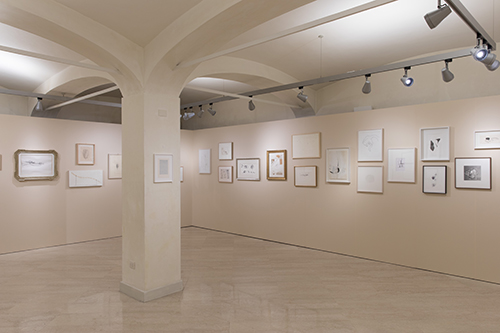 Allestimento mostra 141 un secolo di disegno in Italia Fondazione del Monte ph Alessandro Ruggeri 11