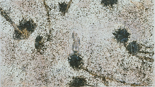 Anselm Kiefer Lasst tausend blumen bluhen 1998 emulsione acrilico semi di girasole su tela 185 x 330 cm Photo Credit the artist