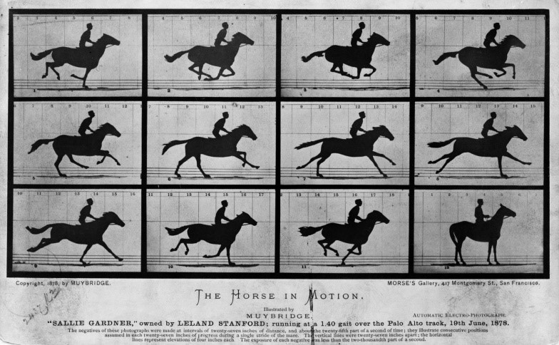 Eadweard Muybridge