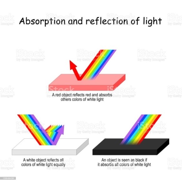 absorption