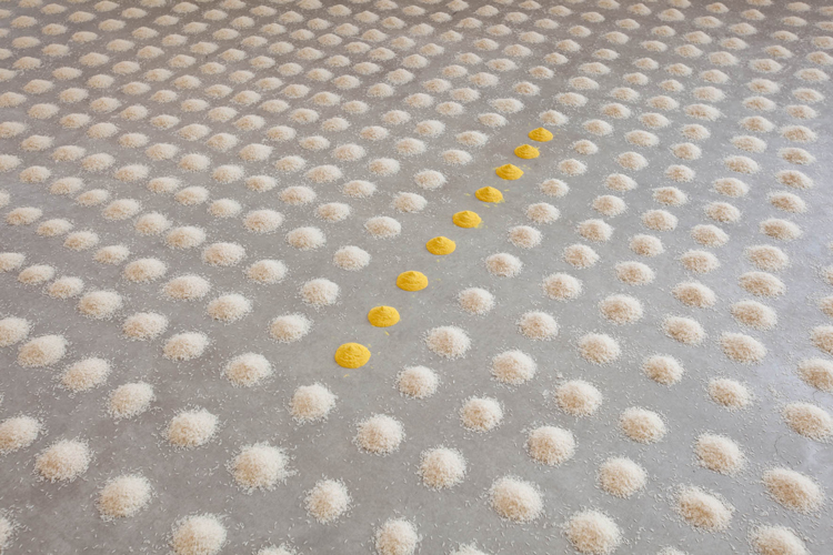 wolfgang laib fondazionemerz5